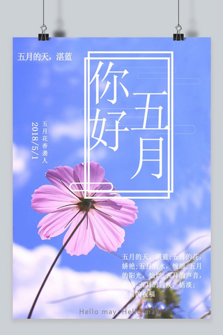 千库原创五月文艺清新花朵海报