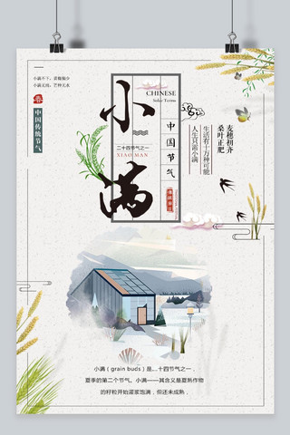 小清新麦子海报模板_小满  节日素材 二十四节气 中华传统节日 简约