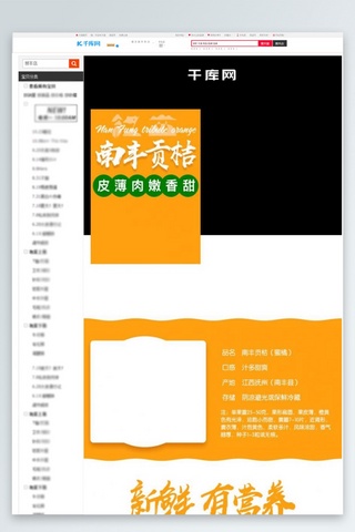 猫橘猫海报模板_橙色新鲜南丰蜜橘详情页PSD模板