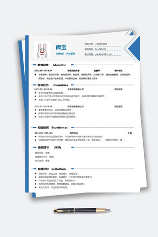 蓝色简约时尚大气投资管理风险管理简历