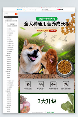 幼儿园成长档案海报模板_宠物食品全犬种通用成长粮绿色简约风电商设计详情页