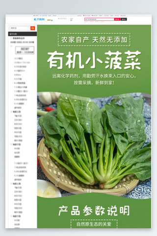 毛绒蔬菜海报模板_新鲜蔬菜菠菜有机无添加绿色简约风详情页