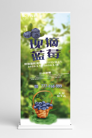 蓝莓促销海报模板_促销现摘蓝莓绿色简约展架