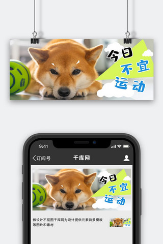 公众号首图动图海报模板_萌宠柴犬咖啡色卡通公众号首图