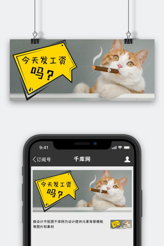 发工资吗猫咪灰色写实搞怪公众号首页海报