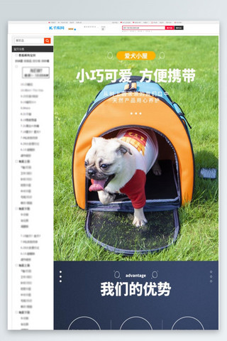 宠物用品爱犬携带包橘色清新风电商详情页