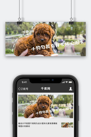 找我什么事海报模板_小狗勾能有什么坏心眼呢狗狗棕色搞笑公众号首图