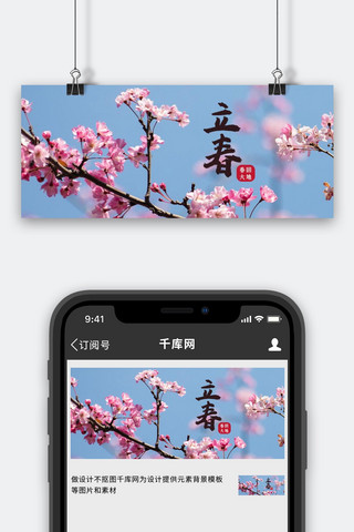 立春桃花蓝色粉色简约公众号首图