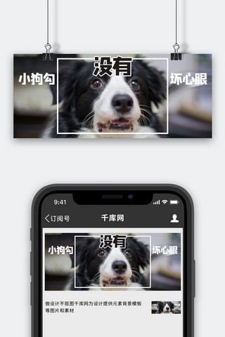 没有没有海报模板_小狗勾没有坏心眼狗狗黑色搞笑公众号首图