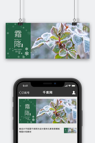 树叶冬天海报模板_霜降节气树叶绿色摄影实景公众号首图