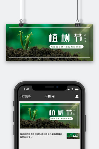 植树节树木简约摄影风公众号首图