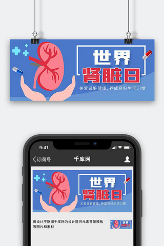 人体健康器官海报模板_关爱肾脏健康肾脏手蓝色红色扁平公众号首图