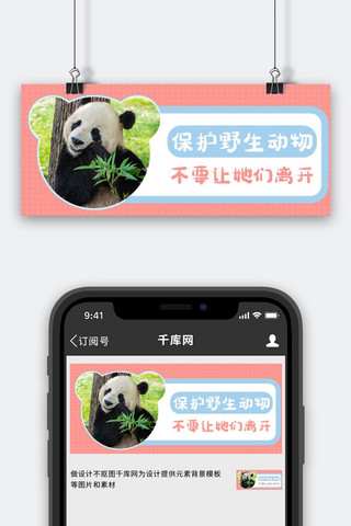 粉色商务海报模板_保护野生动物熊猫粉色商务风公众号首图