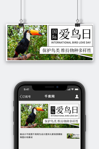 保护鸟类海报模板_国际爱鸟日鸟彩色简约公众号首图