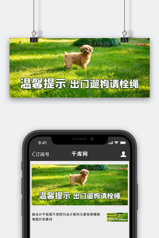 小狗动图海报模板_宠物温馨提示小狗狗绿色摄影风公众号首图