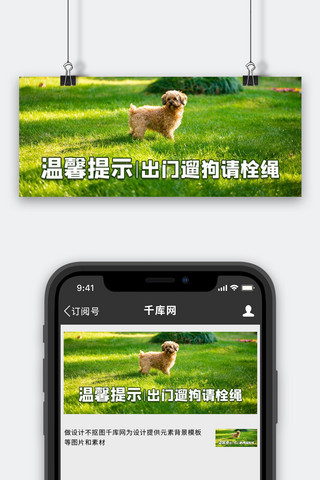 宠物温馨提示小狗狗绿色摄影风公众号首图