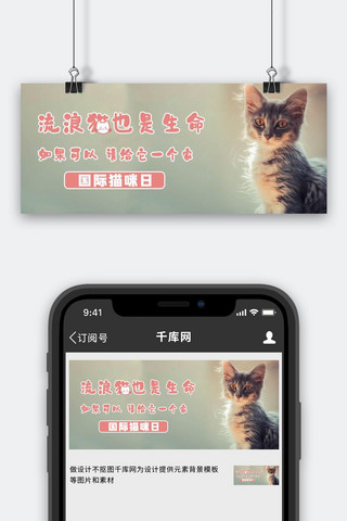 长牙齿的小猫海报模板_国际猫咪日小猫灰色简约公众号首图