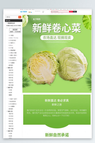 生鲜蔬菜卷心菜包菜绿色小清新电商详情页