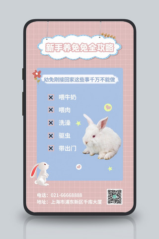 新手养兔兔全攻略兔子粉色蓝色简约手机海报