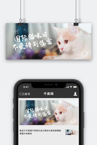 国际猫咪日萌萌猫咪白色摄影风公众号首图