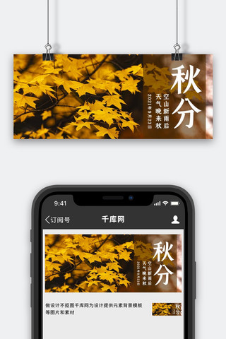 秋分枫叶黄色简约公众号首图