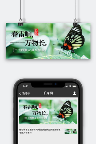 惊蛰春天蝴蝶花草绿色摄影简约公众号首图