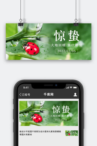 惊蛰banner海报模板_惊蛰绿叶 昆虫绿色简约风公众号首图