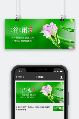 谷雨牵牛花绿色摄影公众号首图