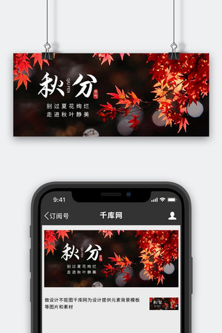 秋分节气秋天枫叶红色唯美简约公众号首图