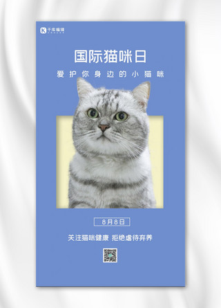 国际猫咪日金渐层猫咪蓝色简约手机海报