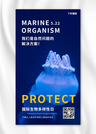 手机动物海报模板_国际生物多样性日水母深蓝摄影风手机海报