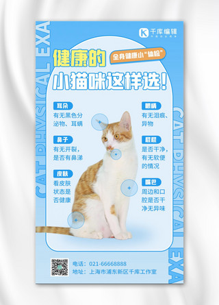 宠物攻略猫咪萌宠科普蓝色简约手机海报