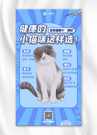 宠物攻略猫咪蓝色扁平海报