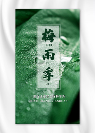 树叶植物海报模板_梅雨季树叶植物雨天绿色中国风手机海报