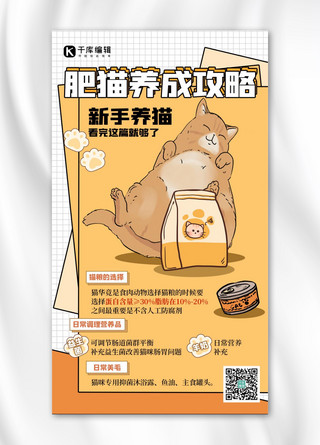 受伤的猫咪海报模板_宠物攻略猫咪黄色创意海报