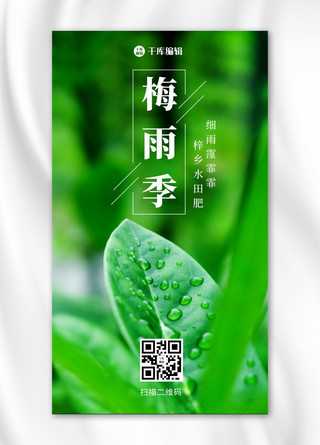 柠檬梅梅茶海报模板_梅雨季 梅雨季 绿色渐变 手机海报