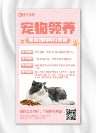 宠物领养猫粉色创意手机海报