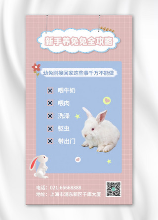 小兔子兔子海报模板_新手养兔兔全攻略兔子粉色蓝色简约手机海报