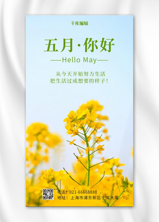 你好5月海报海报模板_你好5月户外油菜花黄色摄影风手机海报