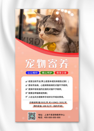 宠物手机海报海报模板_宠物寄养猫粉色简约手机海报