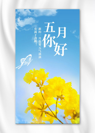 你好5月花蓝色简约手机海报