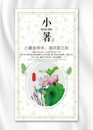 小暑淡雅鲜花手机海报