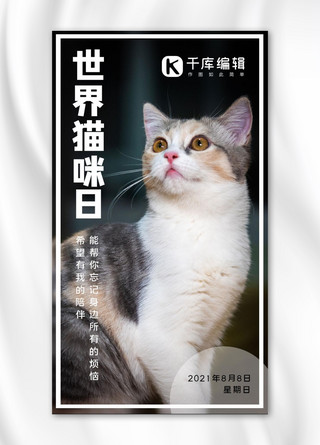 世界猫咪日猫咪黑色简约手机海报