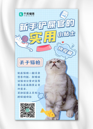 宠物攻略可爱猫咪蓝色清新海报