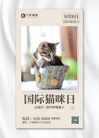 国际猫咪日猫米黄创意手机海报