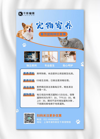 宠物蓝色海报模板_宠物寄养宠物蓝色简约海报