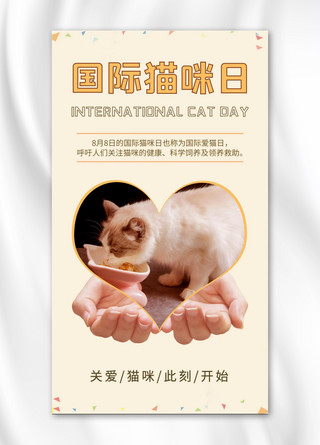 国际猫咪日猫橙色简约海报