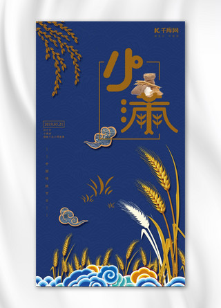 中国传统节日二十四节气小满中国风宣传手机海报