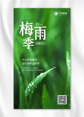 梅雨季叶子 水滴绿色简约 清新海报