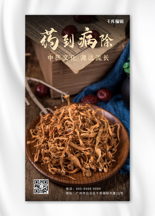 中医药到病除摄影简约海报